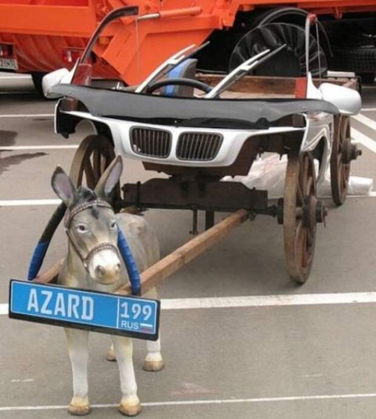Осел в машине