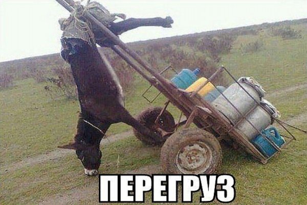 Перегруз лошади