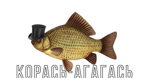 Карась прикол