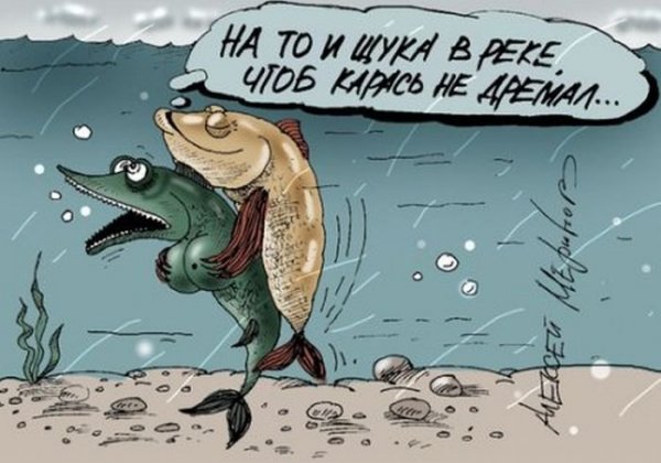 Карась прикол