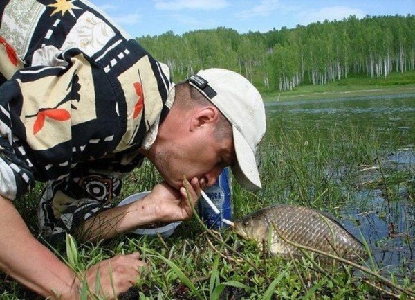 Бухой карась