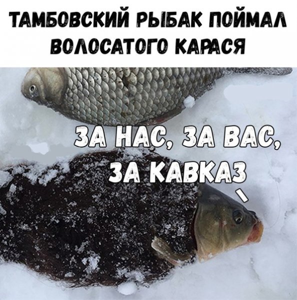 Шутки про карася