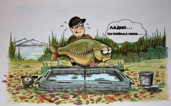 Ловит рыбу прикол