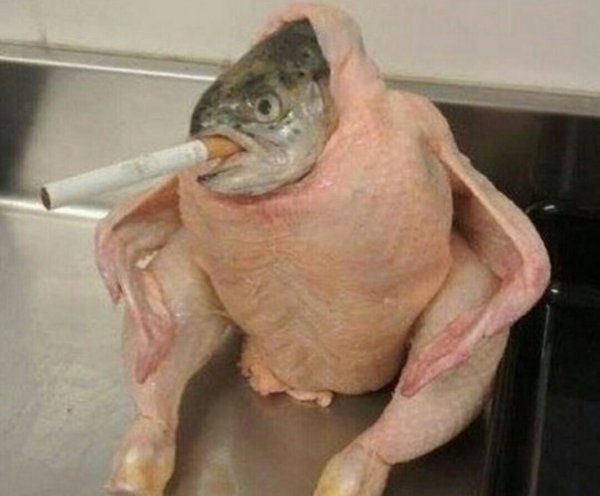 Рыба курица