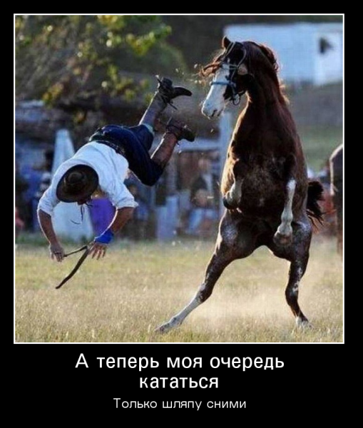 Конь прикол