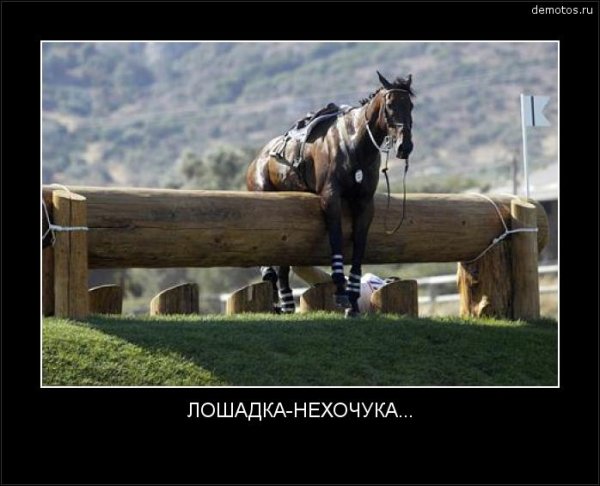 Ну не шмогла я не шмогла