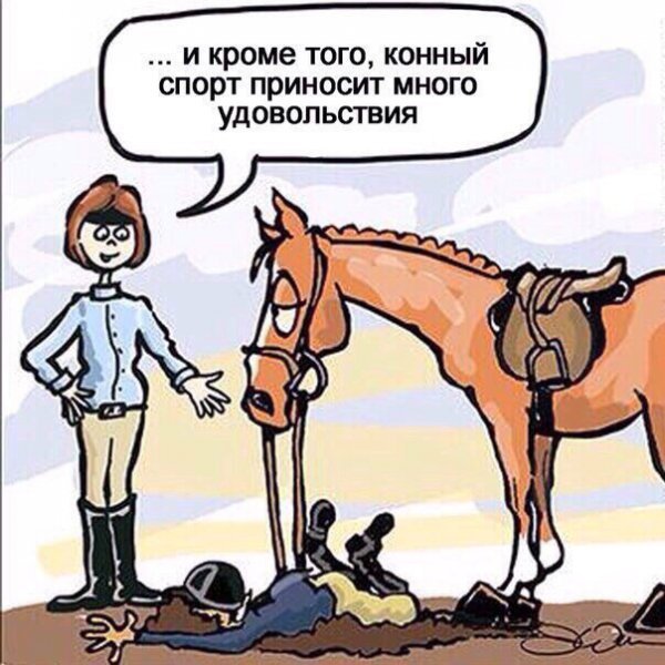 Анекдоты про лошадей смешные