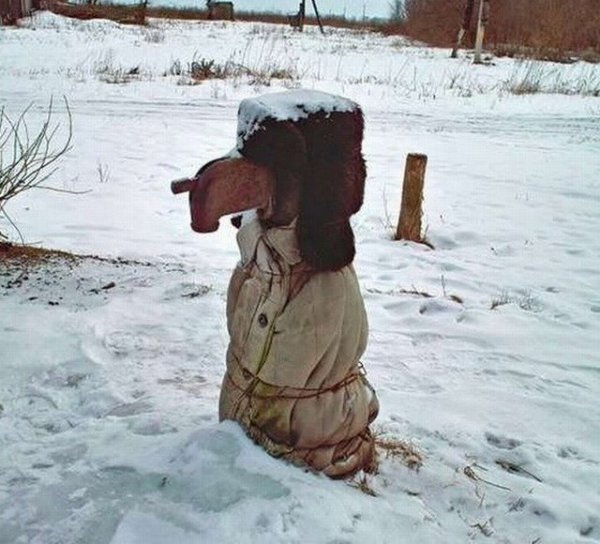 Приколы зимой