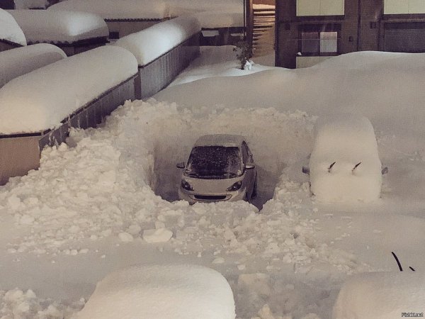 Много снега прикол
