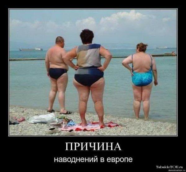 Смешные картинки про толстых