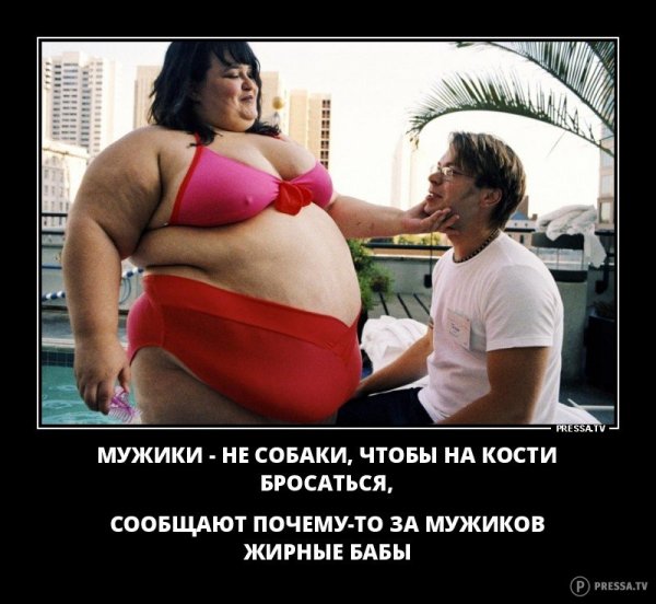 Приколы про худых и толстых