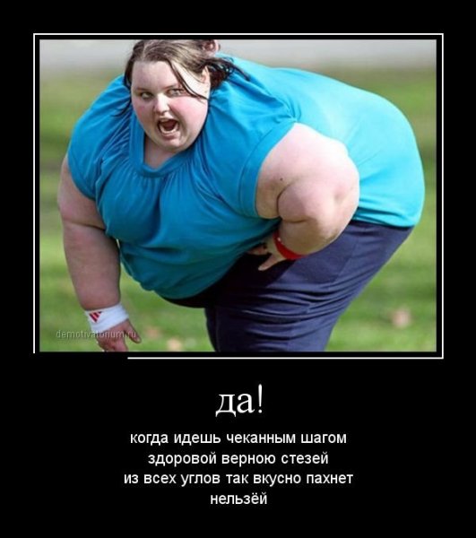 Толстые девушки демотиваторы