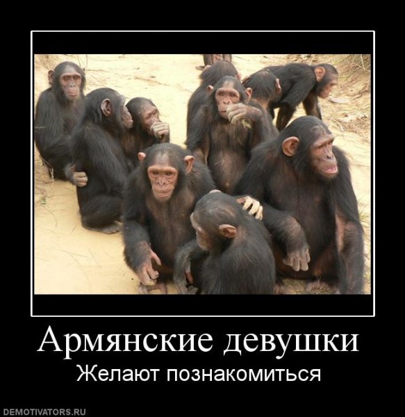 Прикольные картинки про армян