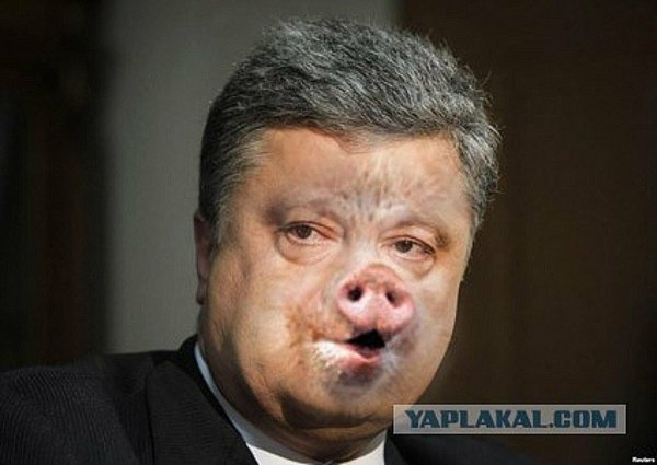 Петр Порошенко фотожабы