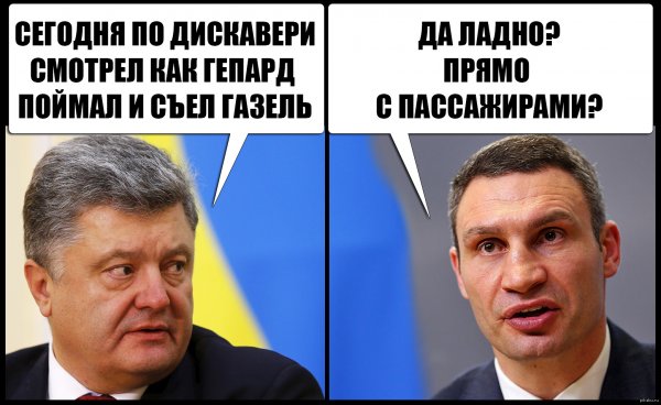 Мемы про Кличко и Порошенко