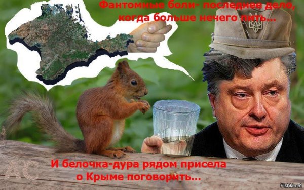 Порошенко приколы
