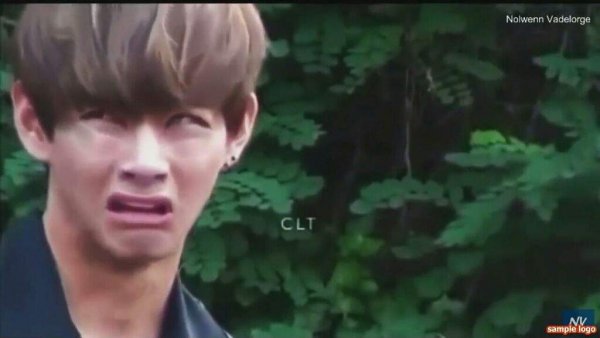 BTS мемы