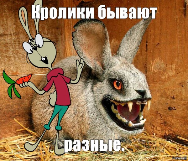 Прикольный заяц с зубами