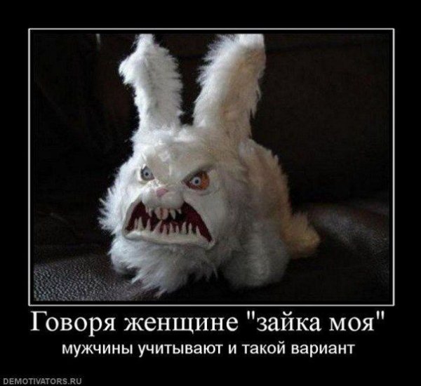 Картинка кролик ахуеть