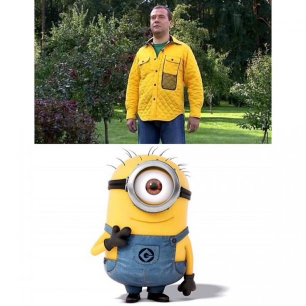 Мемы с миньонами