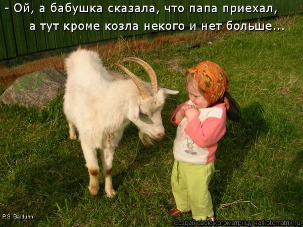 Шутки про козла