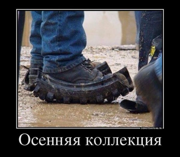 Приколы про обувь