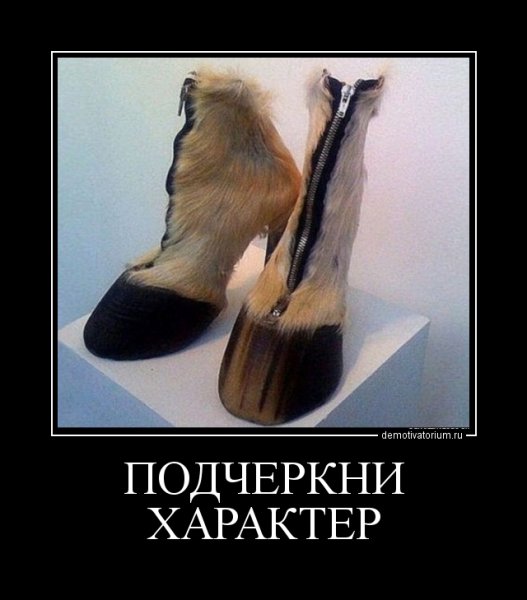 Туфли юмор
