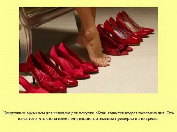 Высказывания про обувь
