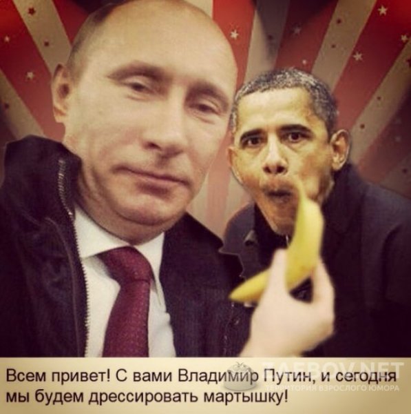 Путин приколы