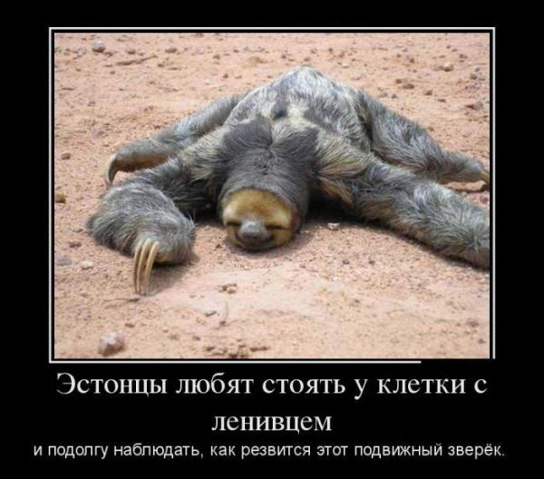 Шутки про эстонцев