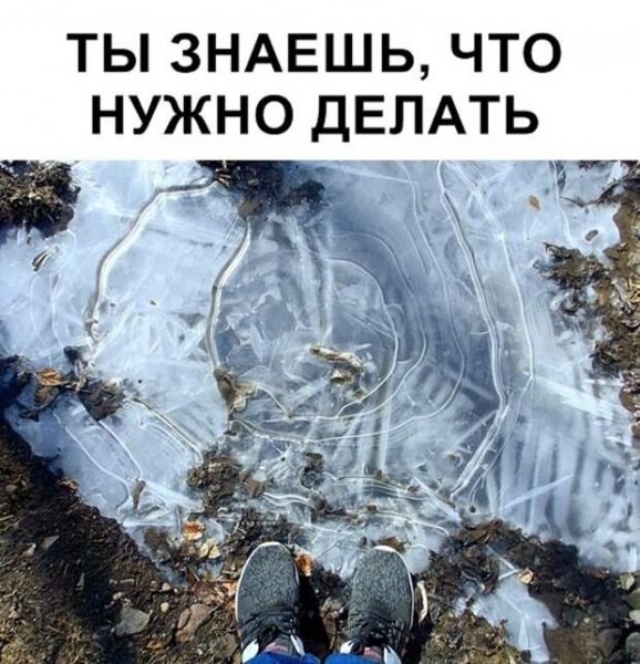 УГАРНАЯ фотография с Заболотным