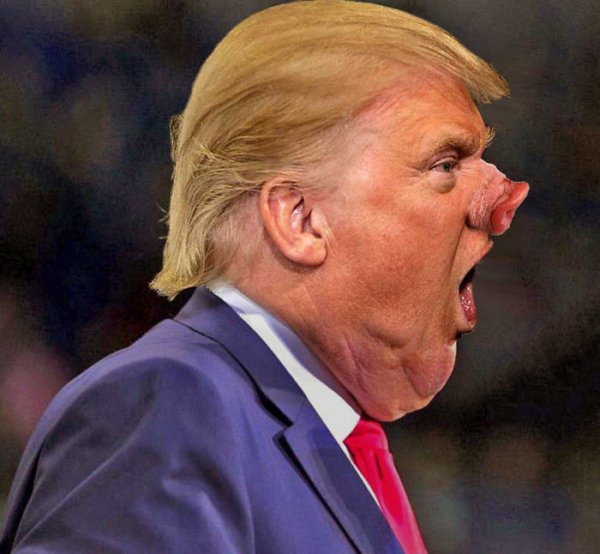 Дональд Трамп фотожабы