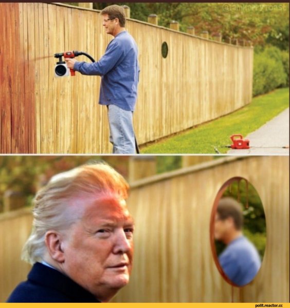 Трамп мемы
