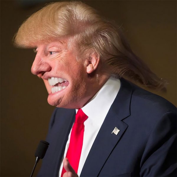 Дональд Трамп фотожабы