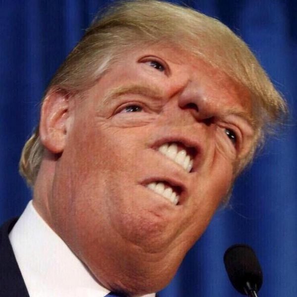 Трамп смешное лицо