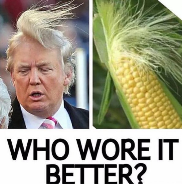 Дональд Трамп приколы