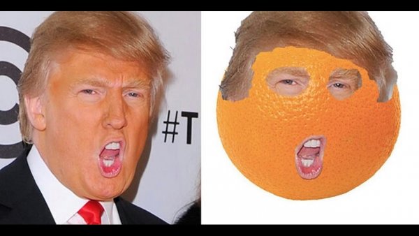 Дональд Трамп фотожабы
