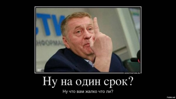Жириновский картинки