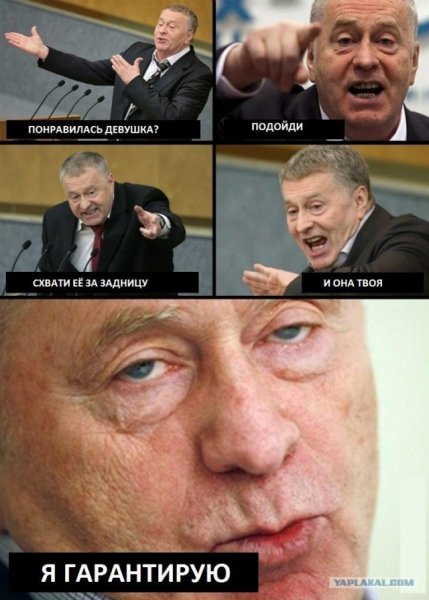 Жириновский приколы