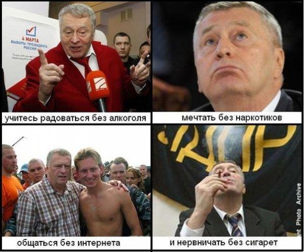Жириновский карикатура