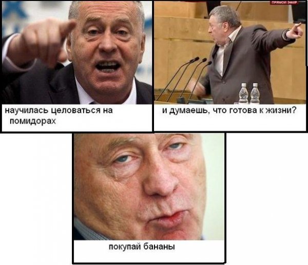 Депутат Жириновский Владимир