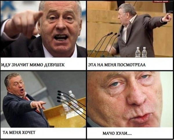 Жириновский демотиваторы