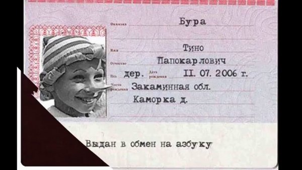 Паспорт прикол