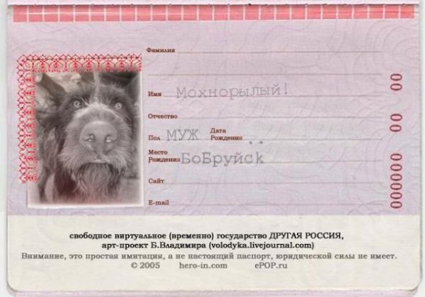 Паспорт РФ смешные