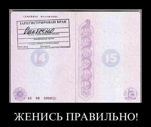 Демотиваторы про развод