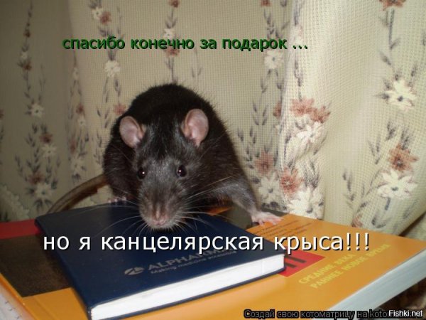 Канцелярская крыса