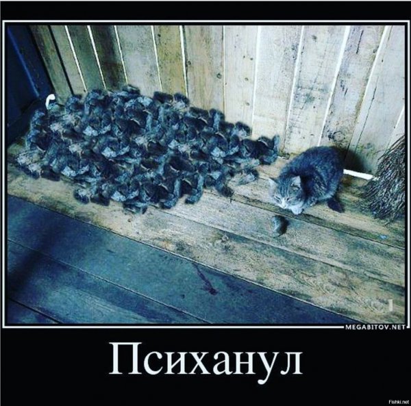 Психанул демотиватор