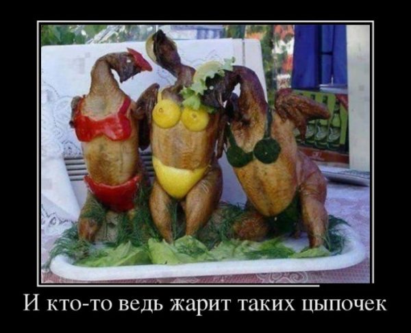 Курица демотиватор