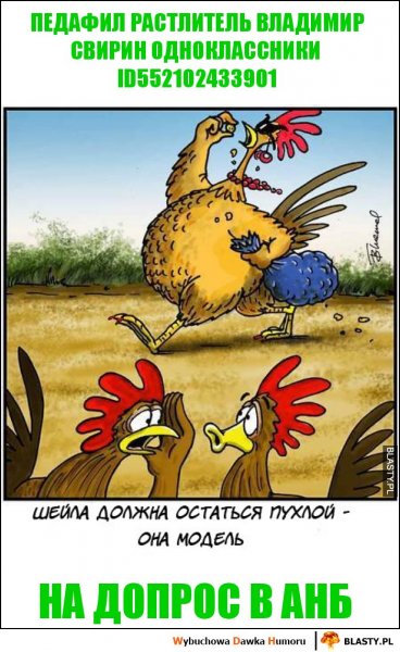 Карикатура про петуха и курицу