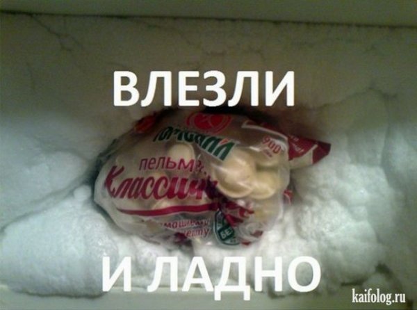 Пельмень наркоманский